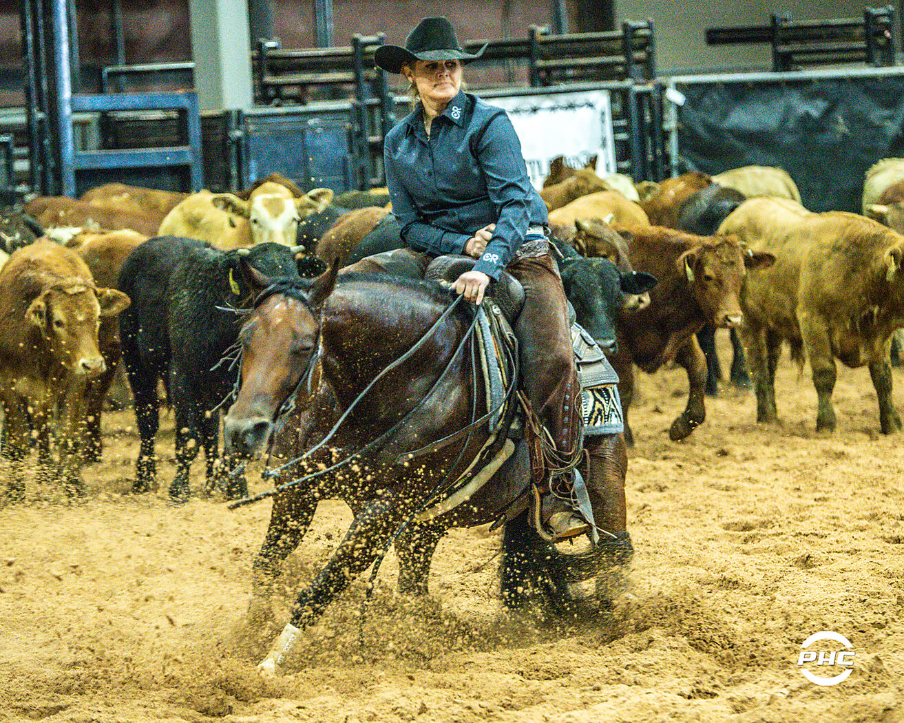 Cara Brewer Performance Horse Central