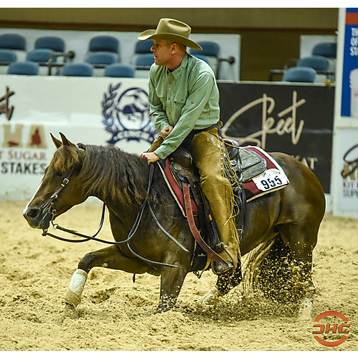 Phil Rapp : Performance Horse Central