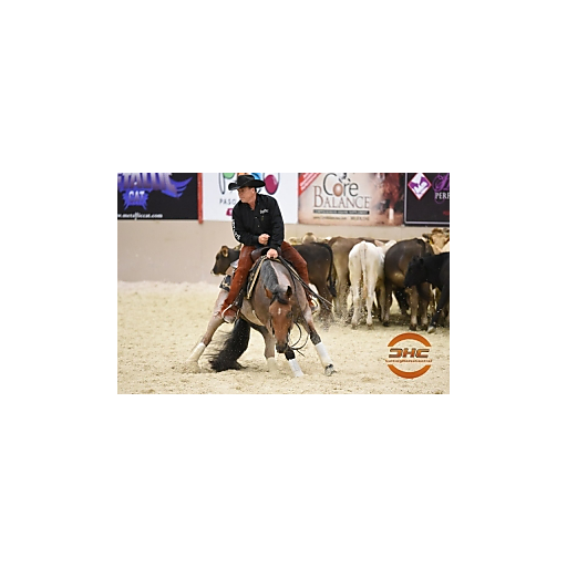 Jonathan Rogers : Performance Horse Central